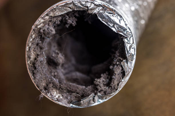 Best Affordable HVAC Duct Cleaning  in Kendall, FL